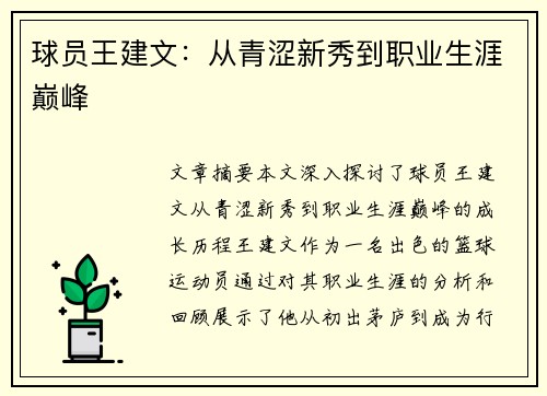球员王建文：从青涩新秀到职业生涯巅峰