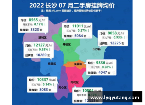 长沙启明星篮球价格多少以及购买途径和性价比分析